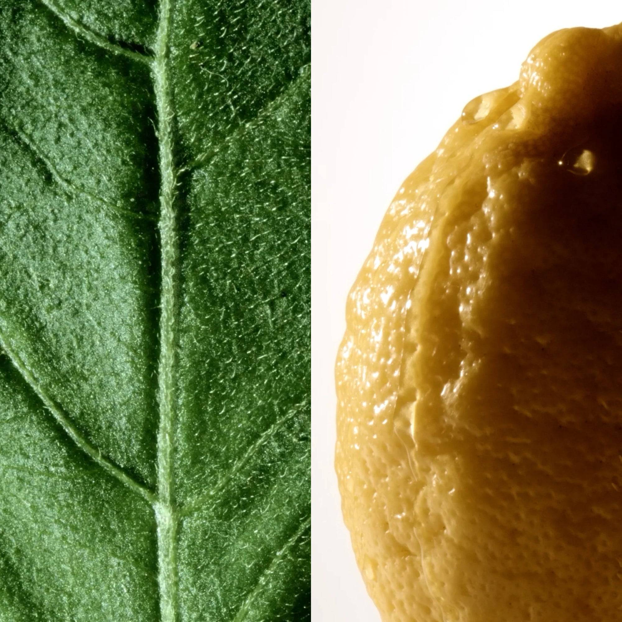 MontBlanc Patchouli Ink